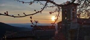 479866432 2079803149130691 2433052234325789567 n