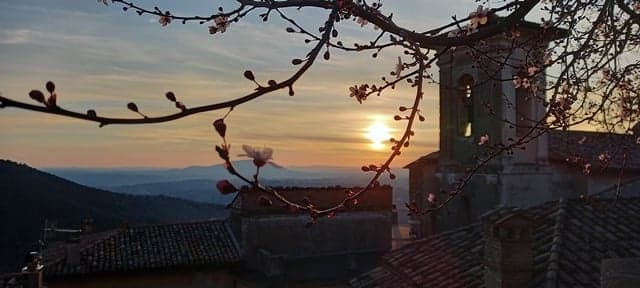 479866432 2079803149130691 2433052234325789567 n