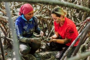 medium Shell picking at Isla Leones. Gulf of Montijo, Veraguas province, Panamá